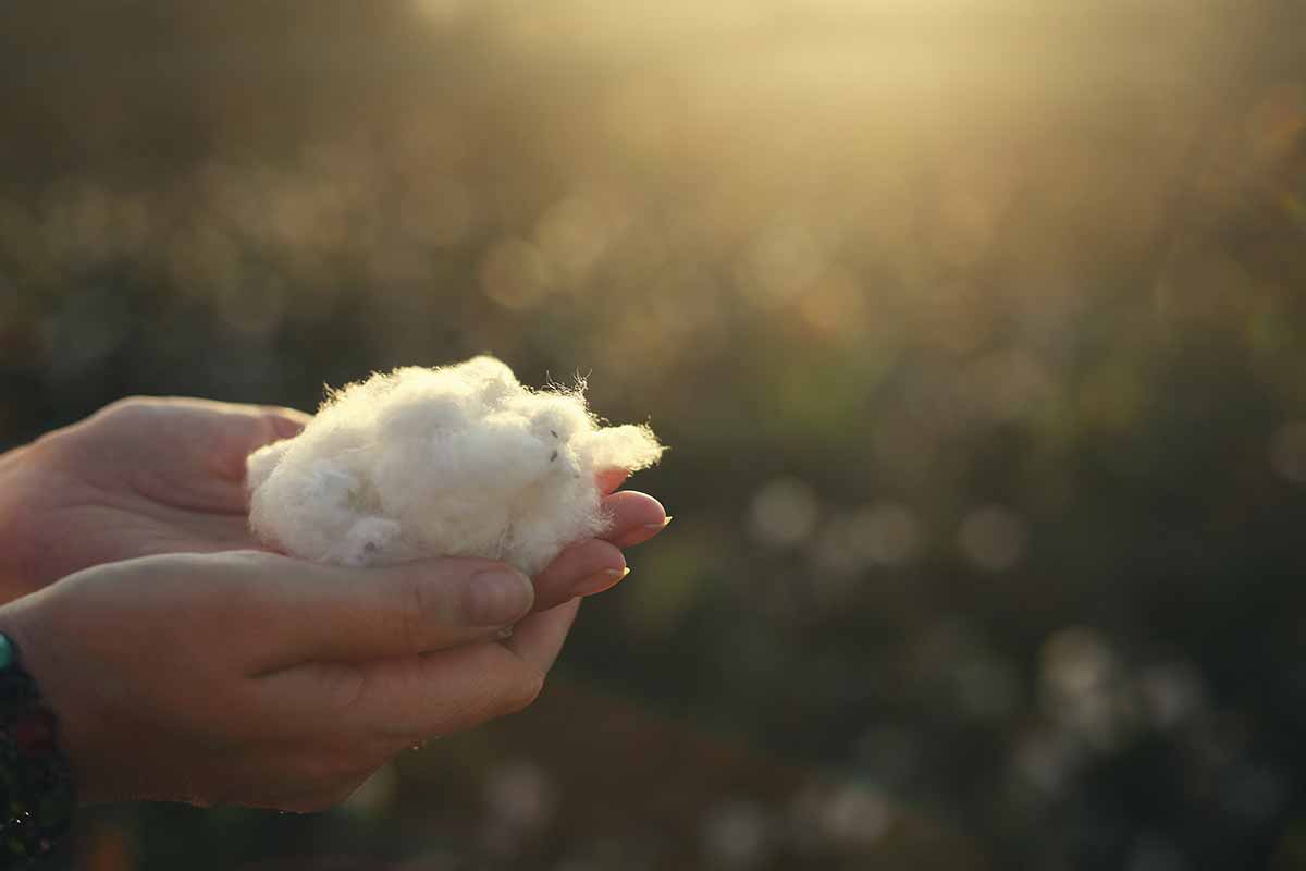 11 Reasons to Love Wool