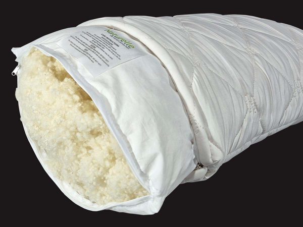 Preggy Pillow Inside